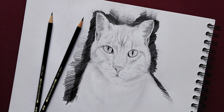 Comment Dessiner Un Chat Facilement : Tutoriel Video avec Dessin Un Chat,