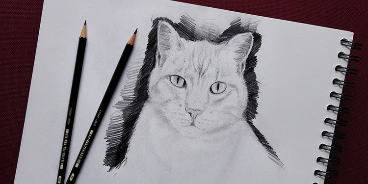 Comment Dessiner Un Chat Facilement : Tutoriel Video concernant Dessin 3D Facile A Faire,