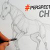 Comment Dessiner Un Cheval En Perspective | Apprendre À pour Dessiner Un,