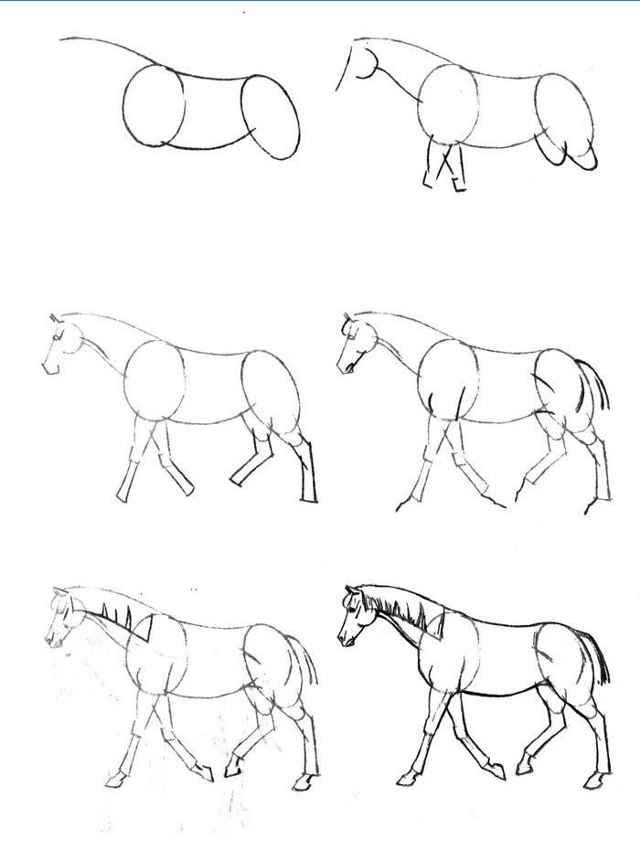 Comment Dessiner Un Cheval Pas À Pas Avec Un Crayon encequiconcerne Que Dessiner