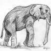 Comment Dessiner Un Elephant - Domi Dessins Et Peintures intérieur Dessin Elephant