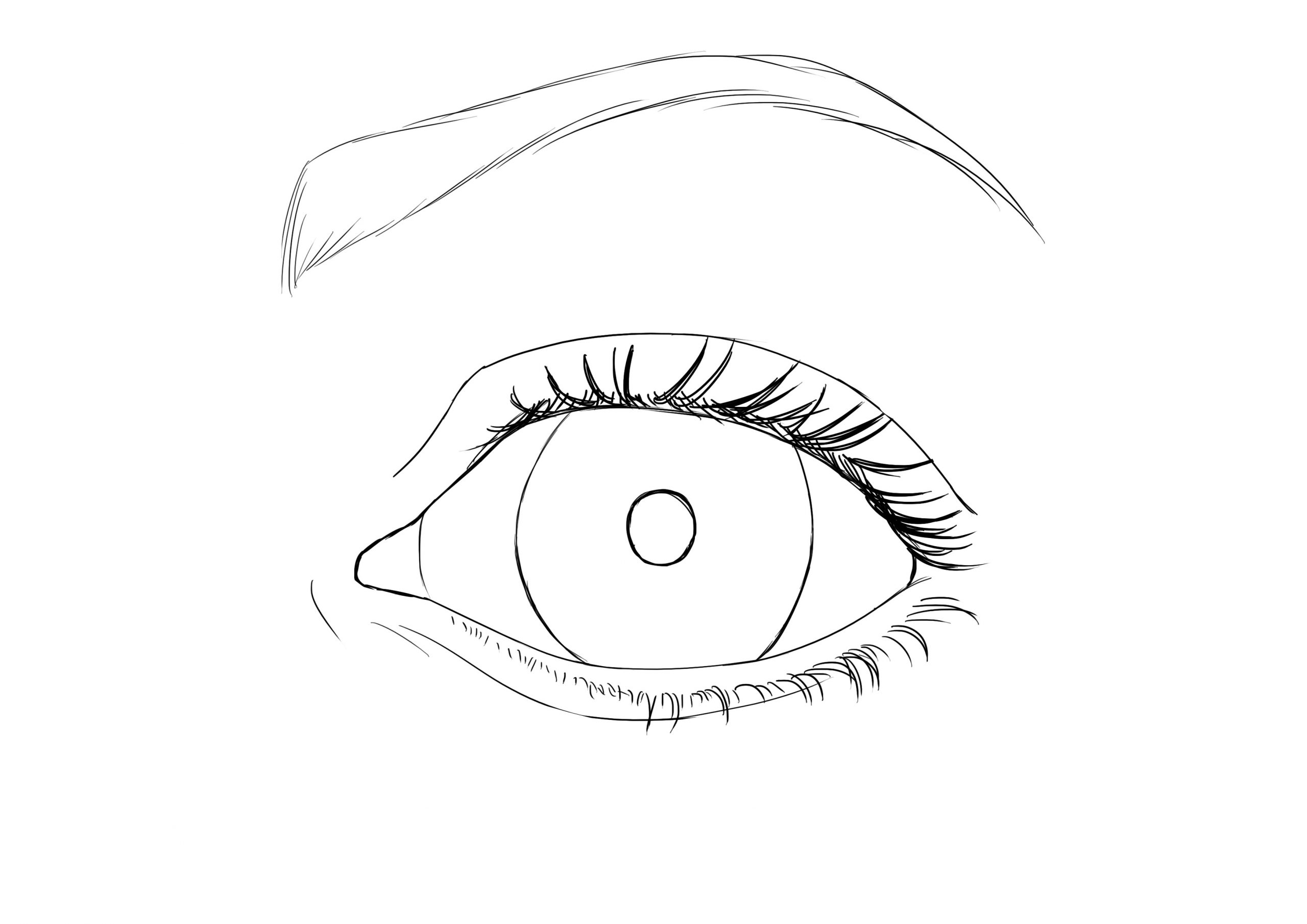 Comment Dessiner Un Oeil - Les Dessins Et Coloriage concernant M Dessin Facile