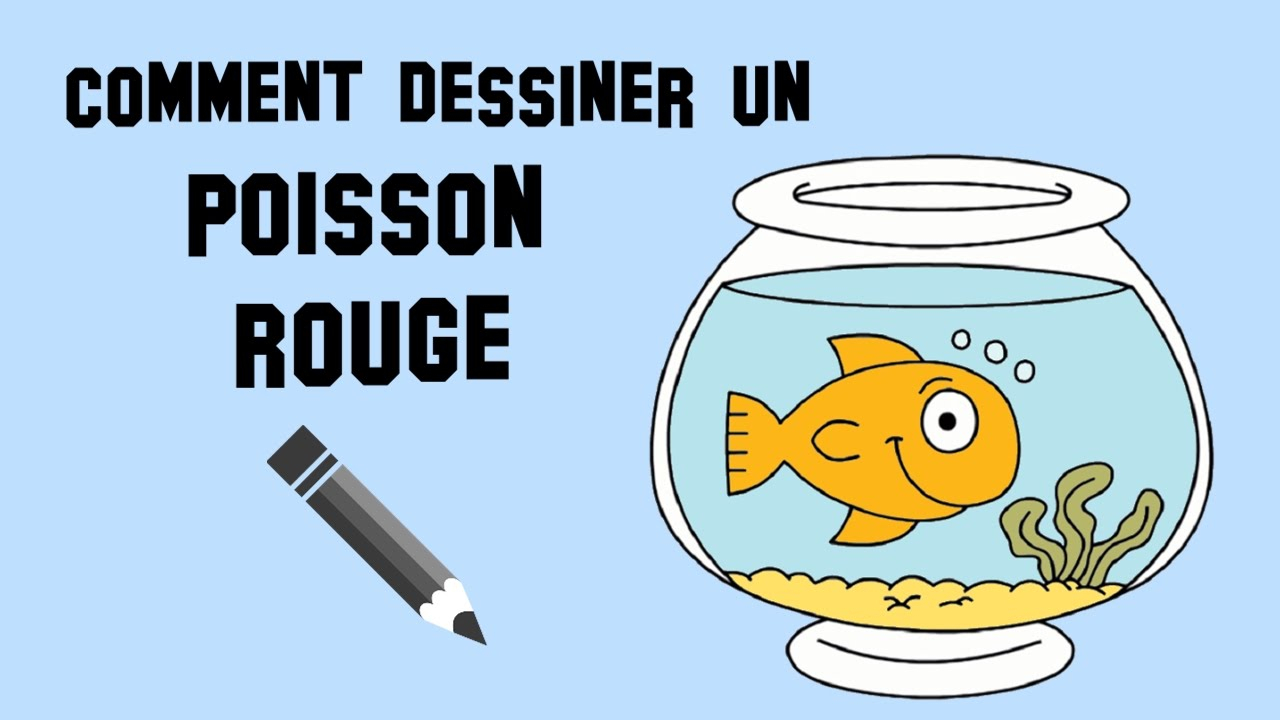 Comment Dessiner Un Poisson encequiconcerne Comment Dessiner U