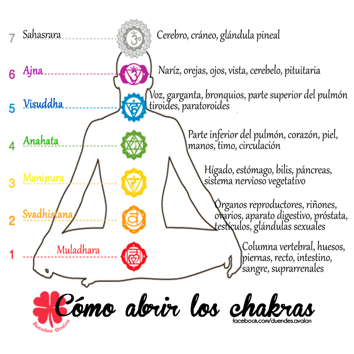 Cómo Abrir Los Chackras ? | Libera Tus Emociones encequiconcerne Coloriage Des 7 Chakras