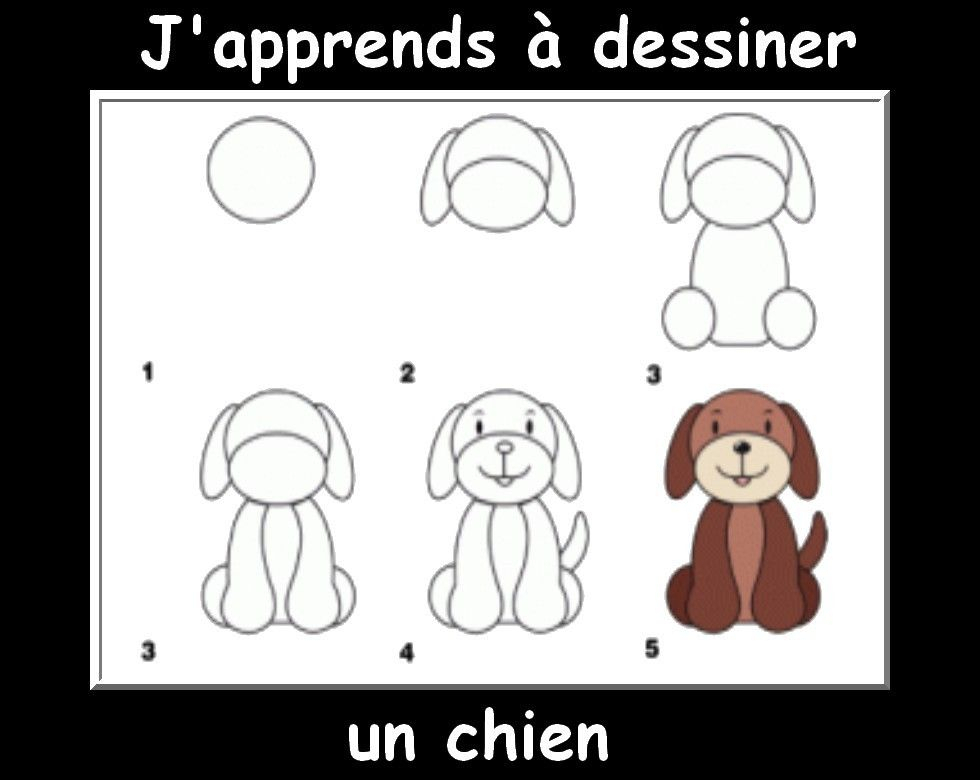 Des Fiches J&amp;#039;Apprends À Dessiner Les Animaux - La Classe avec A Dessiner Animaux