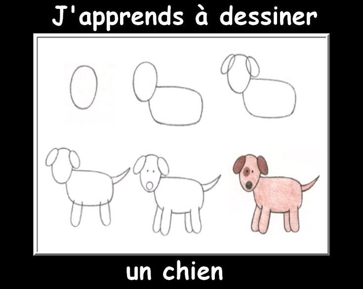 Des Fiches J&amp;#039;Apprends À Dessiner Les Animaux - La Classe concernant A Dessiner Animaux