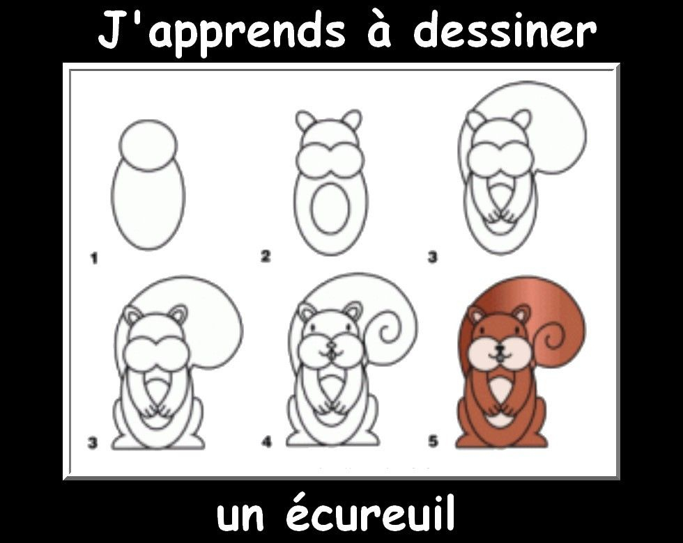 Des Fiches J&amp;#039;Apprends À Dessiner Les Animaux - La Classe dedans J&amp;#039;Apprends À Dessiner