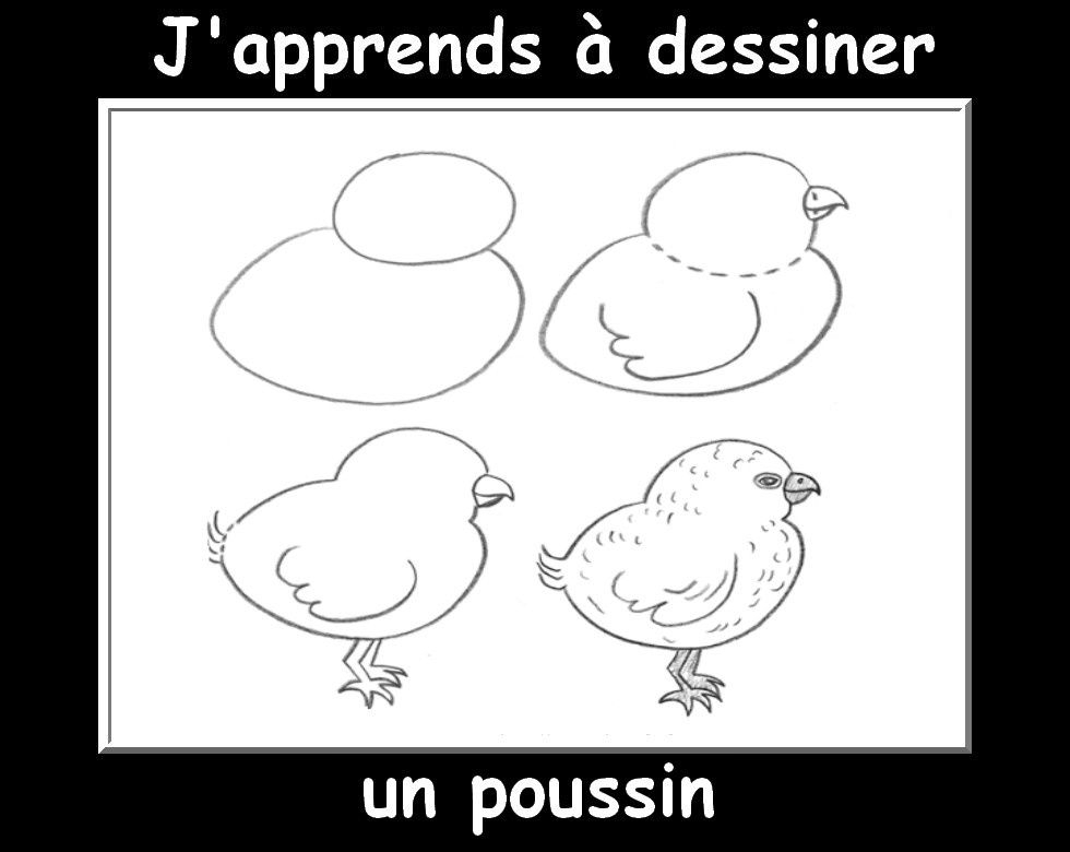 Des Fiches J&amp;#039;Apprends À Dessiner Les Animaux - La Classe encequiconcerne J&amp;#039;Apprends À Dessiner Les Animaux