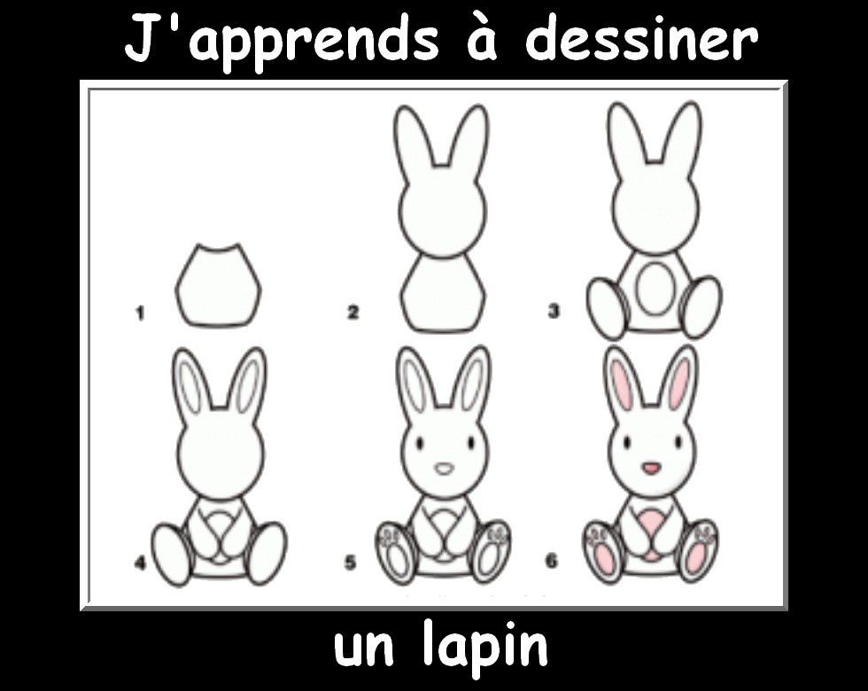 Des Fiches J&amp;#039;Apprends À Dessiner Les Animaux - La Classe pour J&amp;amp;#039;Apprends À Dessiner Pdf