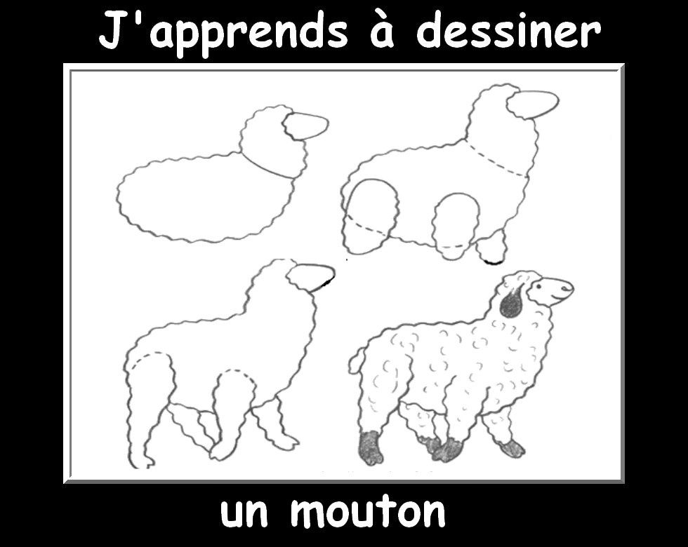 Des Fiches J&amp;#039;Apprends À Dessiner Les Animaux - La Classe tout J&amp;amp;#039;Apprends À Dessiner Un Chat