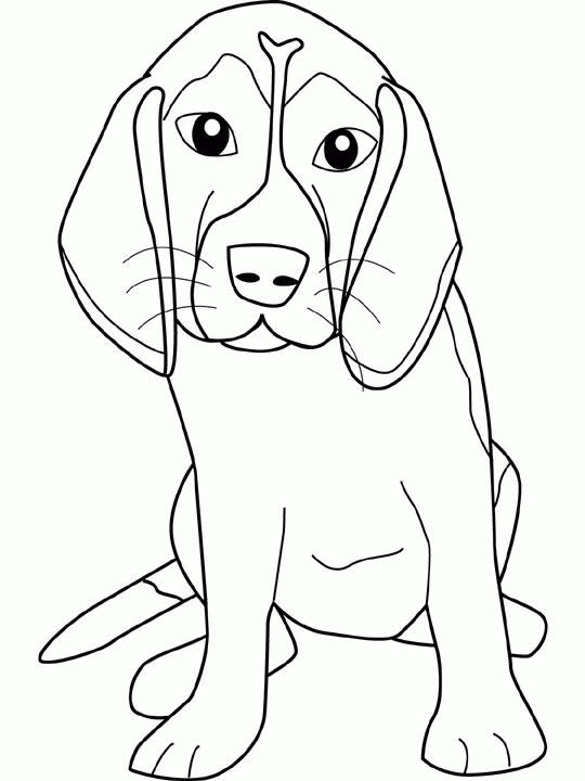 Dessin A Colorier Du Net - Coloriage Chien encequiconcerne Coloriage Dessin Chien