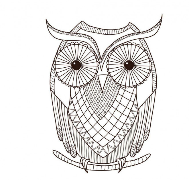 Dessin À Imprimer: Dessin De Hibou A Imprimer En Couleur concernant Coloriage Hibou