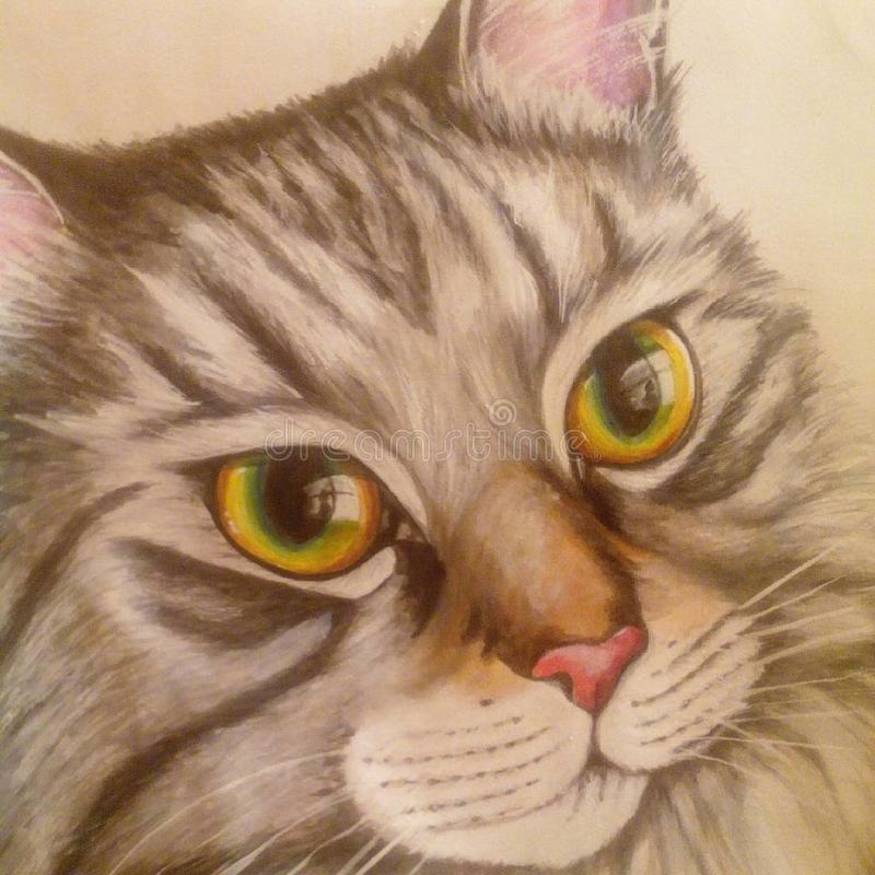 Dessin Au Crayon Un Beau Chat Avec De Beaux Yeux encequiconcerne Dessin Chat