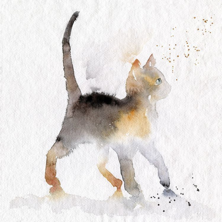 Dessin Chat Aquarelle #Catwatercolor | Watercolor Cat, Cat intérieur Dessin Chat