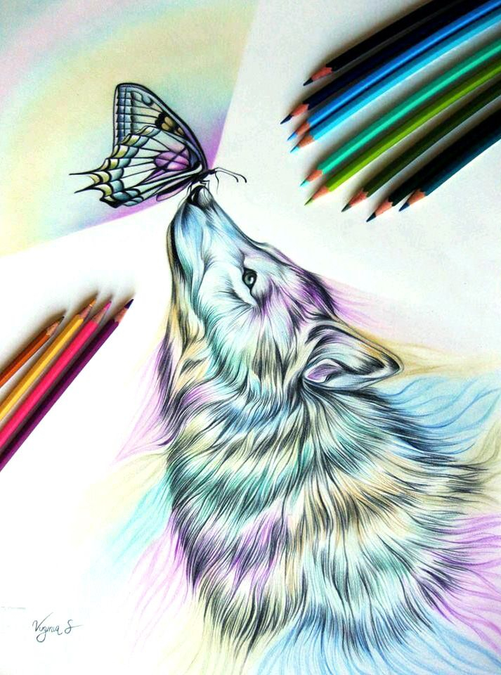 Dessin Couleurs Papillon Sur Le Nez | Wolf Tattoos For serapportantà Dessin Loup