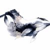 Dessin De Baleine Bleue : Blue Whale Stencil Lots And Lots à Dessin Baleine