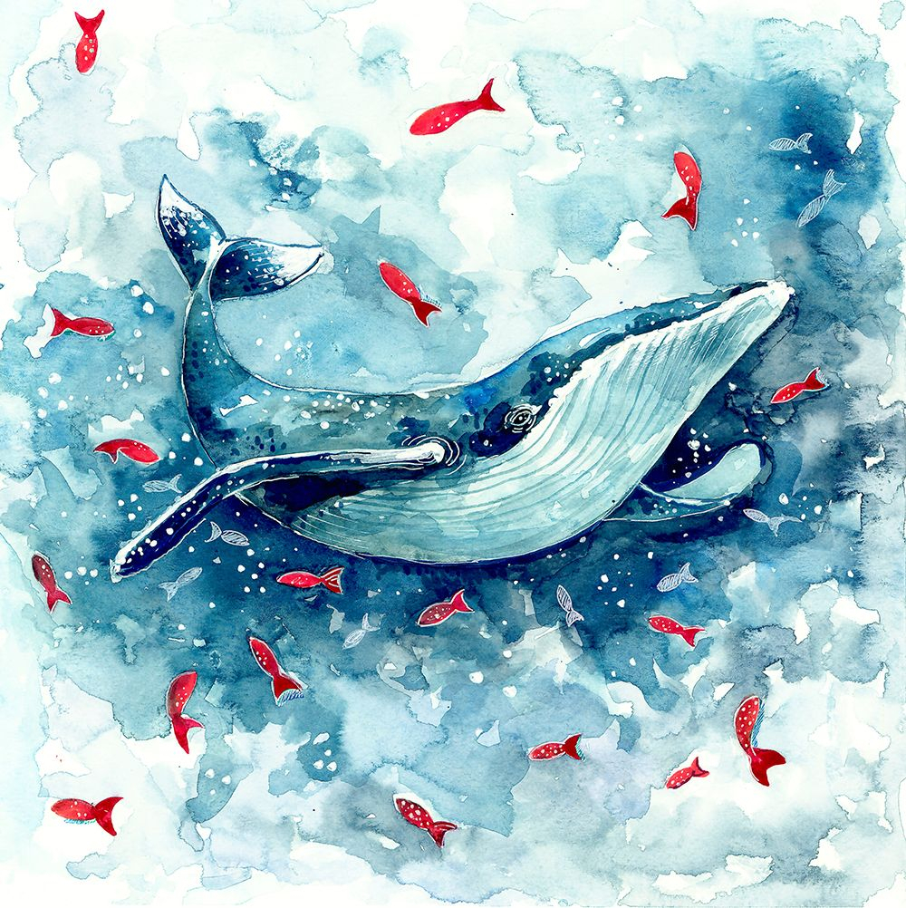 Dessin De Baleine Bleue : Blue Whale Stencil Lots And Lots intérieur Dessin Baleine