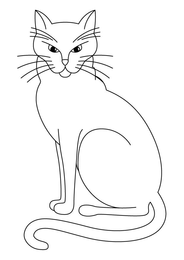 Dessin De Chat - Animozone.fr concernant Dessin Un Chat,