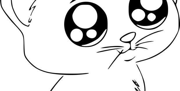 Dessin De Chaton Kawaii Nouveau Photographie Coloriage intérieur Coloriage Chat Kawaii