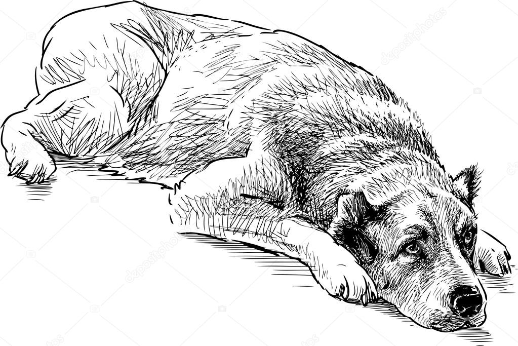 Dessin De Chien Couche - Les Dessins Et Coloriage serapportantà Dessin Un Chien Facile,