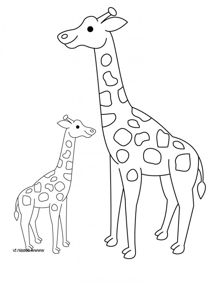 Dessin De Coloriage Cool Collection Dessin De Girafe 9 concernant Coloriage Dessin Girafe