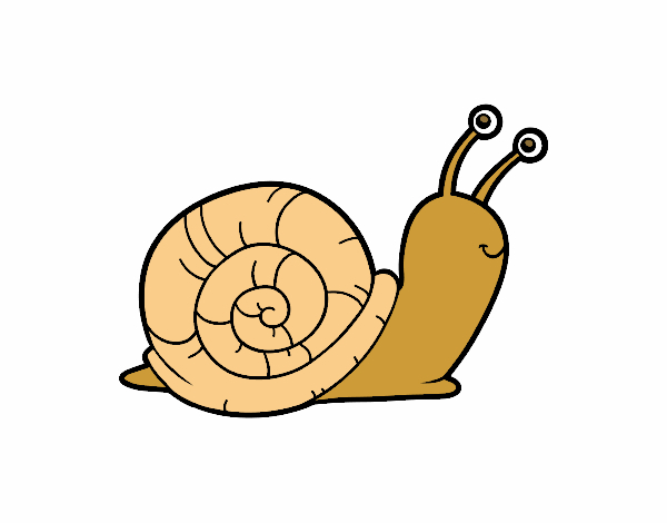 Dessin De L&amp;#039;Escargot Colorie Par Membre Non Inscrit Le 23 destiné Escargot Dessin Couleur