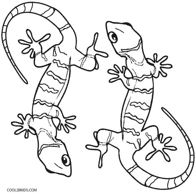 Dessin De Lézard A Imprimer - Dessin 1037 Coloriage Lezard intérieur Coloriage De Lézard