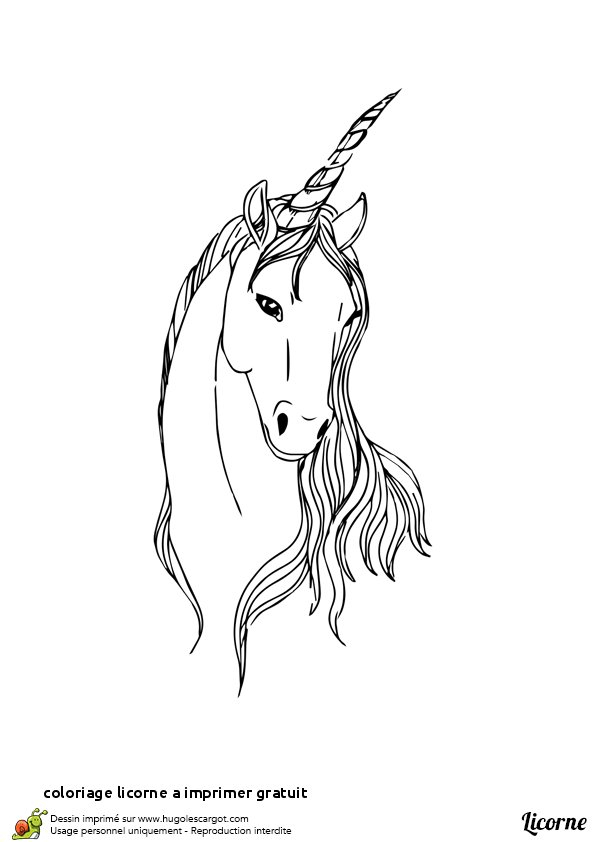 Dessin De Licorne - Les Dessins Et Coloriage concernant Coloriage Licorne Dessin A Imprimer Gratuit