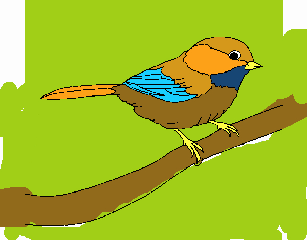 Dessin De Petit Oiseau Colorie Par Membre Non Inscrit Le intérieur Dessin Oiseau,