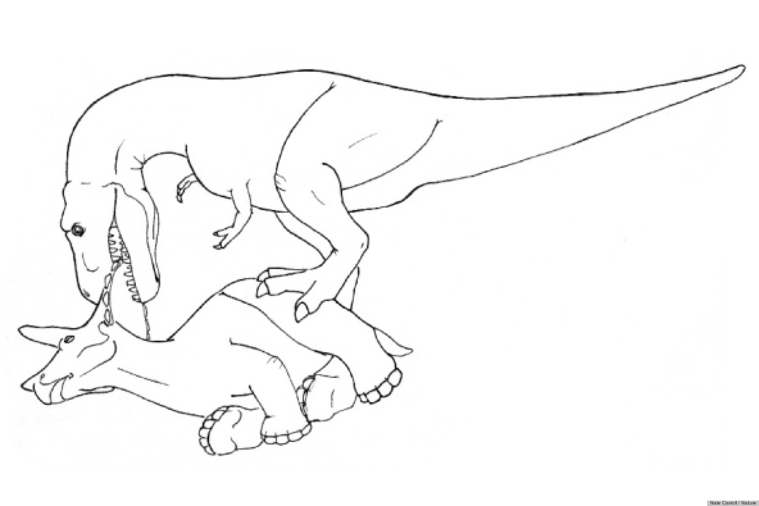 Dessin De T-Rex (9) pour Dessin T Rex,