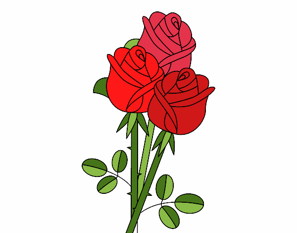 Dessin De Un Bouquet De Roses Colorie Par Membre Non pour Dessin Rose