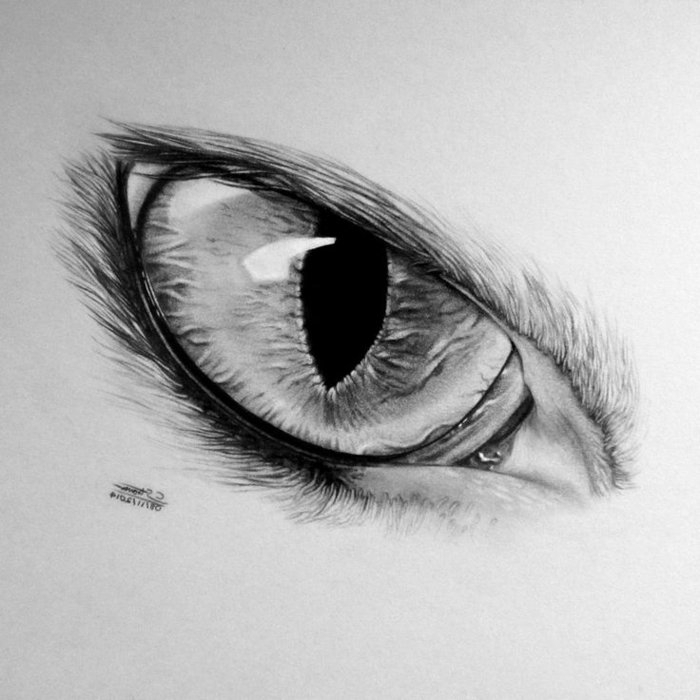 Dessin Dun Oeil Facile - Gamboahinestrosa tout Dessin Oeil