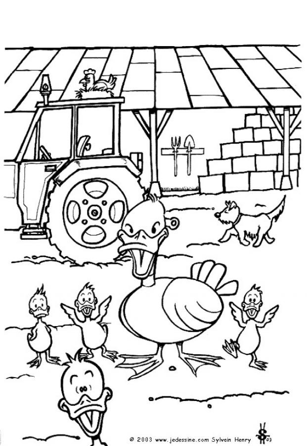 Dessin La Ferme En Folie A Imprimer à Coloriage Ferme