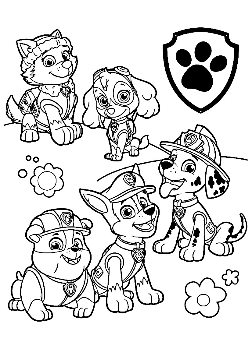 Dessin Pat Patrouille : 22 Dessins À Imprimer Gratuitement destiné Coloriage 3 Ans Pat Patrouille