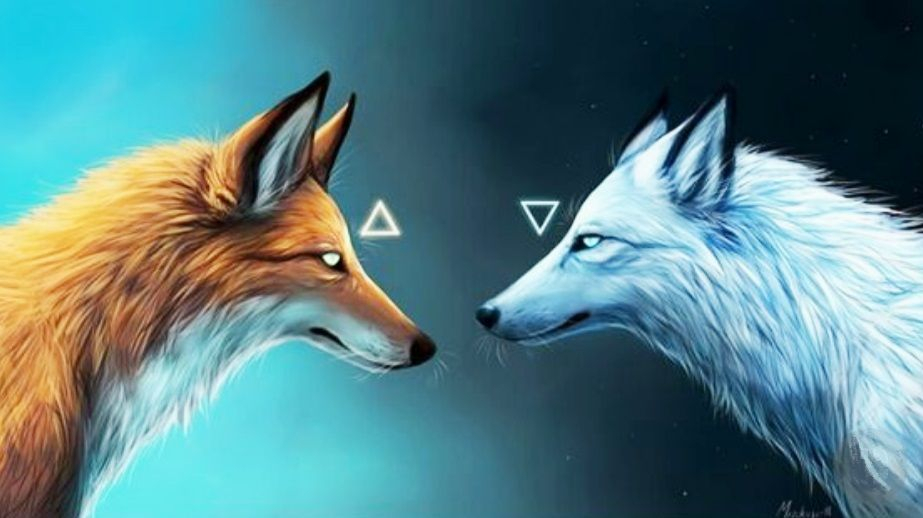 #Dessin #Renard #Fox #Loup #Wolf #Animaux #Beast | Cute serapportantà Dessin Lou^p