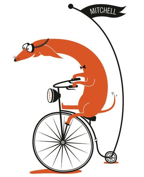 Dessin Velo Appartement Humour | Blageusfree destiné Dessin Velo