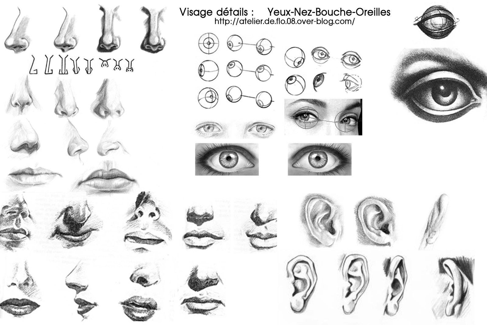 Dessiner Les Détails Du Visage: Les Yeux, Le Nez - L tout Dessin Nez