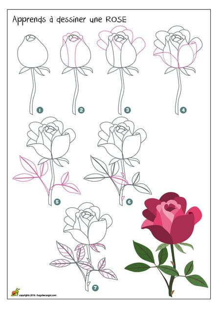 Dessiner Une Rose | Flower Drawing, Roses Drawing, Flower à Dessin Rose