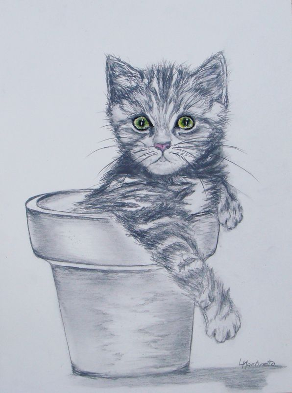 Dessins De Chats - Peintures De Lmartinetto dedans Dessin Chat