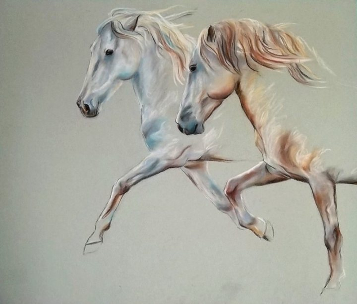 Deux Chevaux Camargue Au Trot - Dessins Et Peintures De concernant Dessins