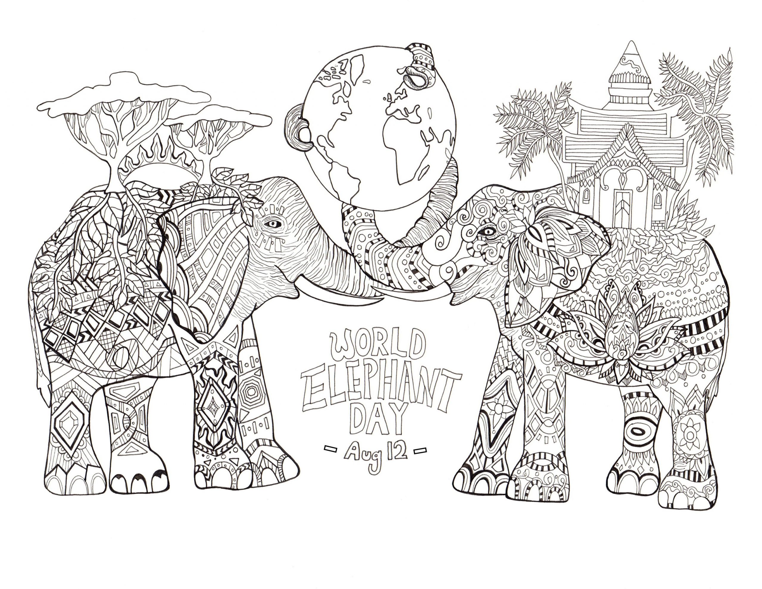 Elephant Adult Coloring Pages - Bubakids intérieur Coloriage 2L2Phant