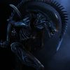 Épinglé Sur Aliens - Predators serapportantà Dessin Xenomorphe,