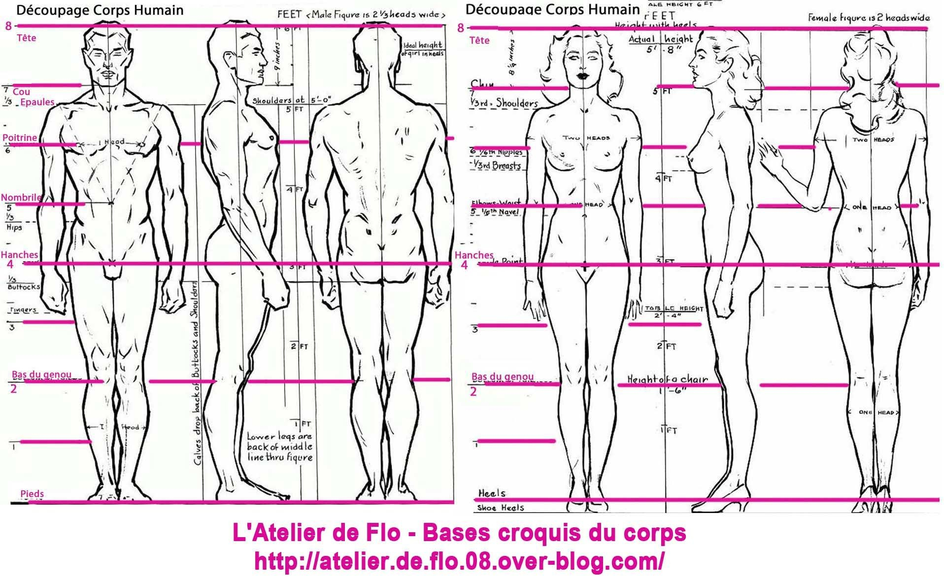 Épinglé Sur Dessins serapportantà Dessin Corps