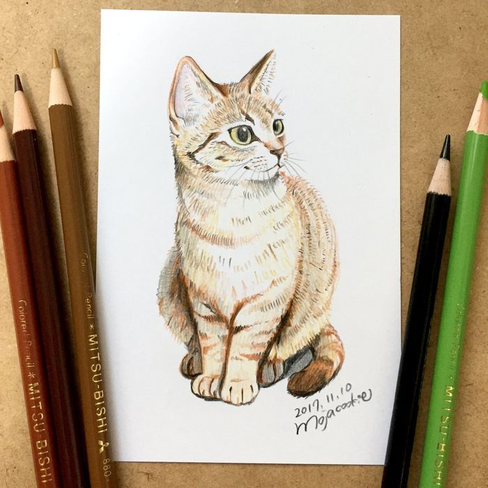 Épinglé Sur Dessins tout Dessin Un Chat Facile,