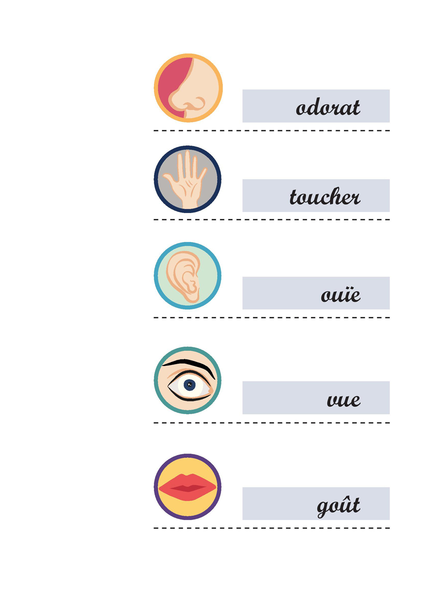 Exploration Sensorielle - 5 Sens - Mélanie Planche avec Dessin 5 Sens