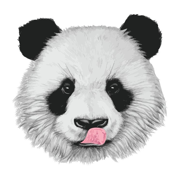 🌿🐼🌿 | Panda Art, Panda Drawing, Panda Tattoo intérieur Dessin Panda