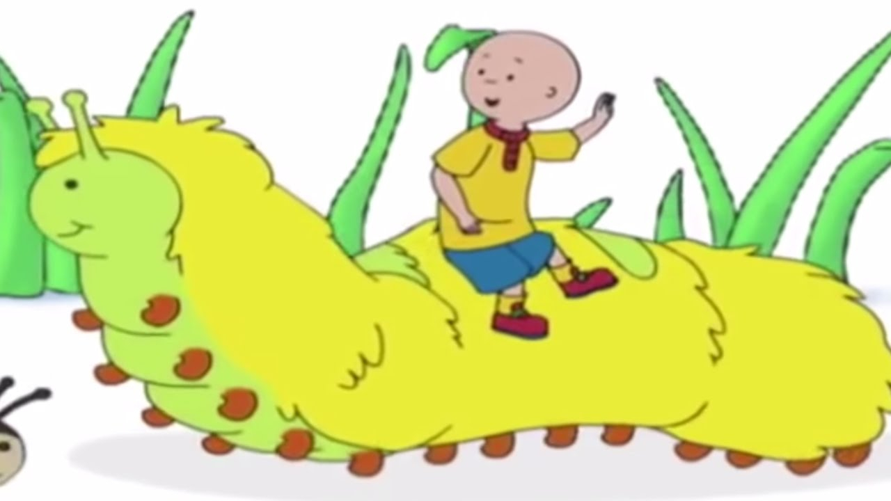 👍 Caillou Français - La Chenille | Dessin Animé Complet En à Dessin Animé Francais,