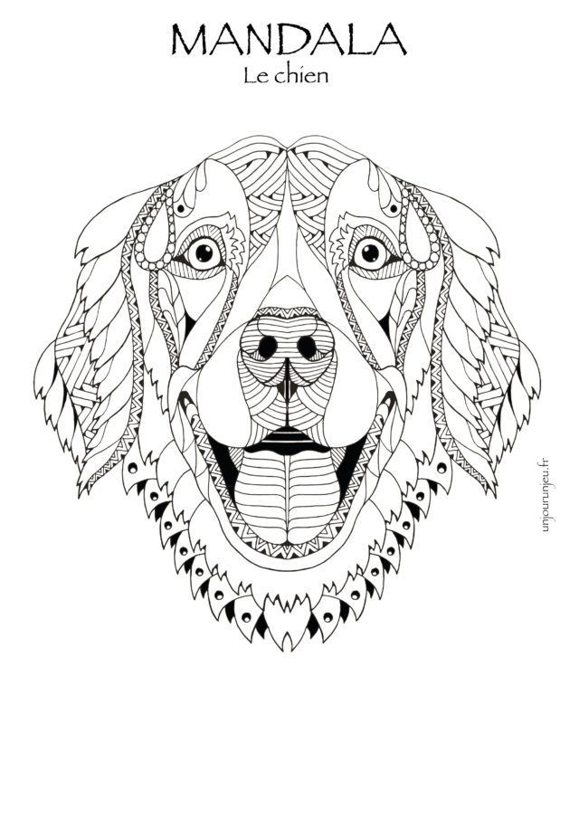 🦁🖍 Coloriages Mandalas Animaux À Télécharger 🖍🦁 dedans Dessin D&amp;amp;#039;Animaux