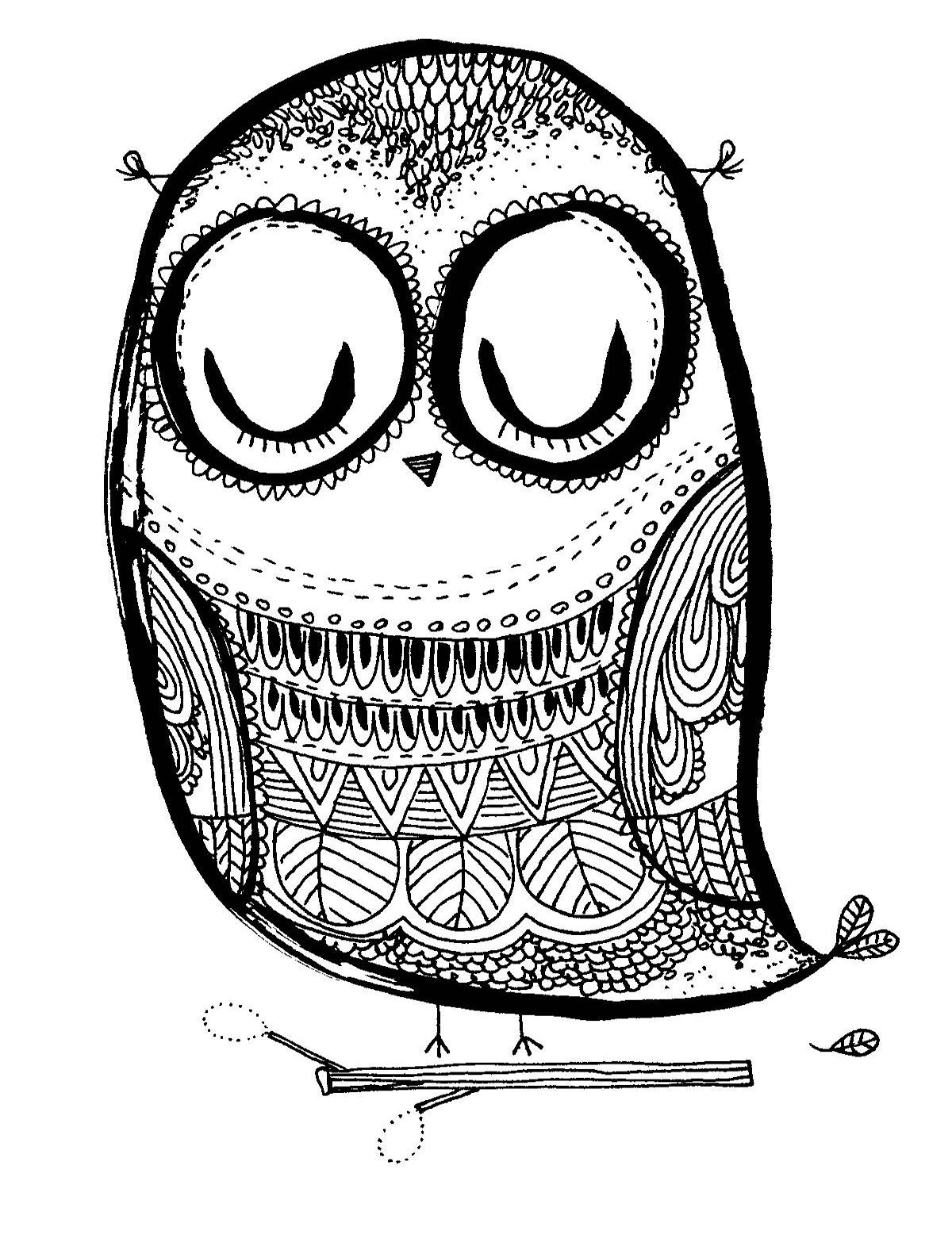 Ferme Les Yeux - Les Chosettes | Hibou Dessin, Coloriage concernant Coloriage Dessin Chouette