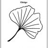 Feuille Ginkgo Coloriage 55 | Gingko Art, Embroidery concernant Dessin Feuille